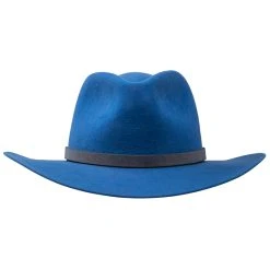 THE CORNFLOWER LEADVILLE