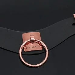 Coquette Rose Gold Submission Collar -Kemo Sabe shop CO 22525 Editorial B 2022DECEMBER53166