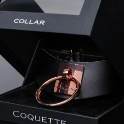 Coquette Rose Gold Submission Collar -Kemo Sabe shop CO 22525 Editorial C 2022DECEMBER53166