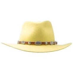 THE PALE YELLOW LEADVILLE