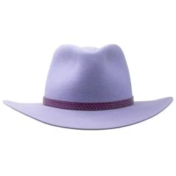 THE VIOLET LEADVILLE